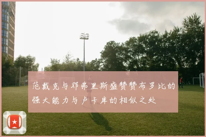 范戴克与邓弗里斯盛赞赞布罗比的强大能力与卢卡库的相似之处